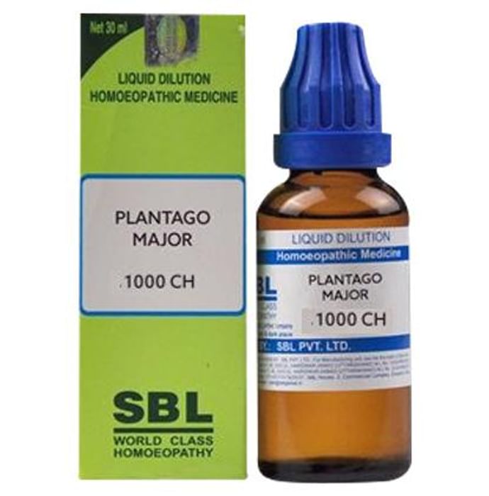 SBL Plantago Major Dilution 1000 CH